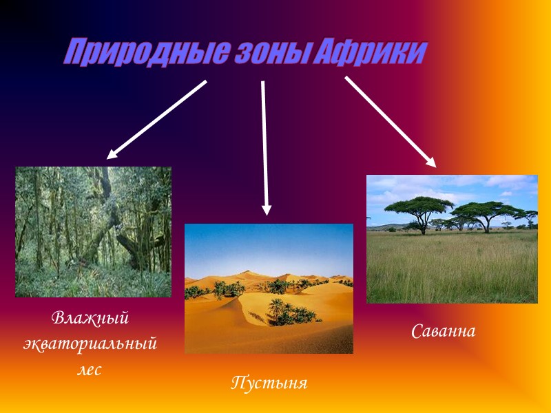 Природные зоны Африки Влажный экваториальный лес Саванна Пустыня